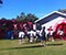 School-kids-SHINE-during-Special-event-at-Metricon-Stadium.jpg